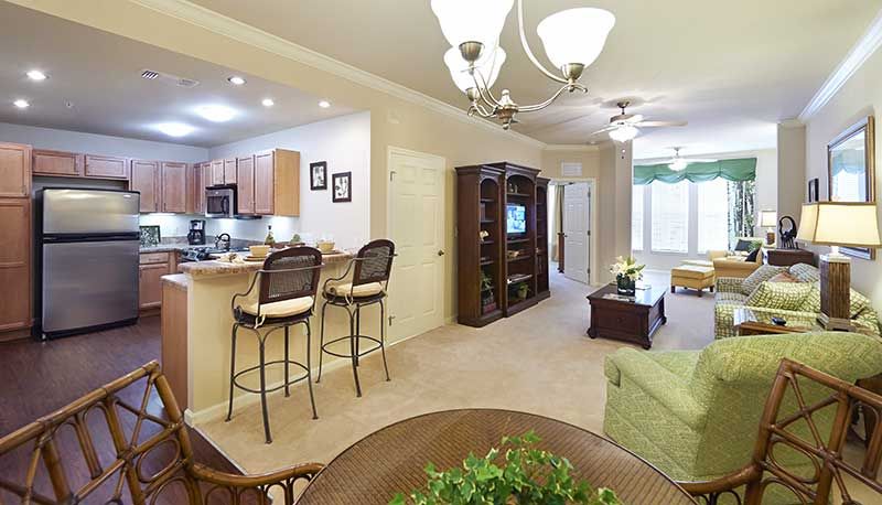 An open floor plan apartment featuring a cozy living room, adjacent dining area, and modern kitchen.