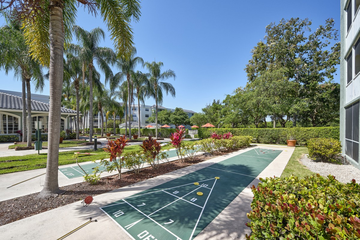 A sunny outdoor shuffleboard court surrounded by lush palm trees and vibrant landscaping.