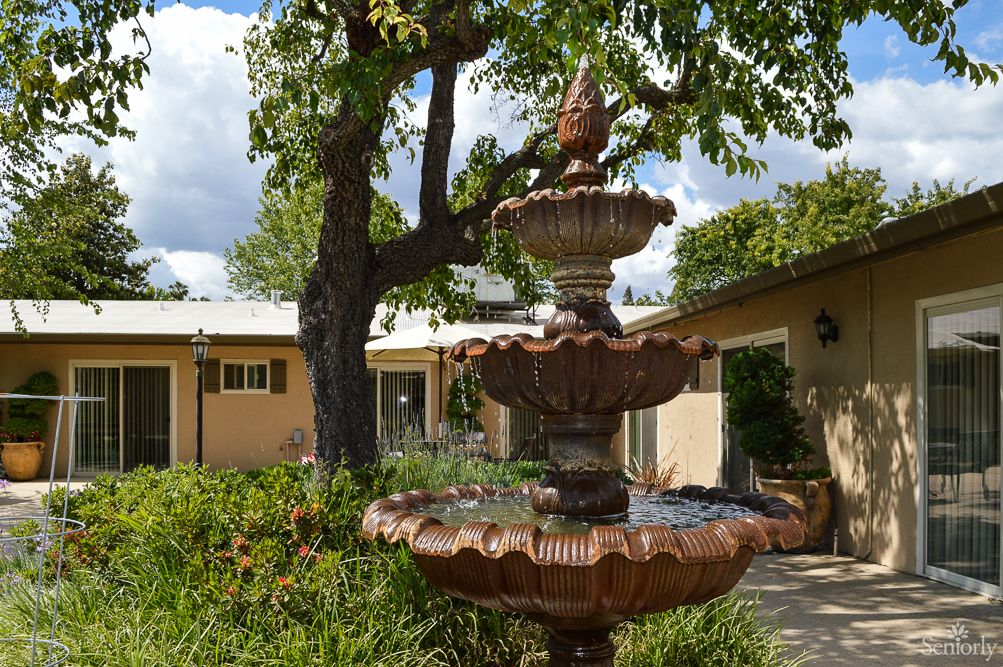 A scenic view of a garden with a multi-tiered fountain, surrounded by lush greenery and buildings in the background.
