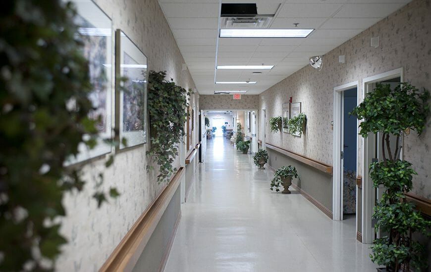 A clean and well-lit hospital corridor adorned with plants.