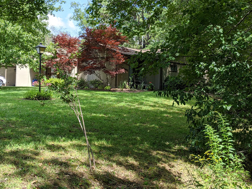 A serene backyard scene featuring a lush green lawn and vibrant trees.