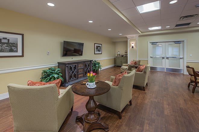 A cozy living room with comfortable chairs, a TV, and decorative plants.