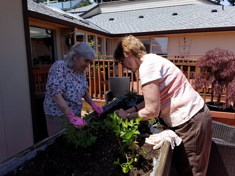 Two elderly women gardening together on a sunny day.