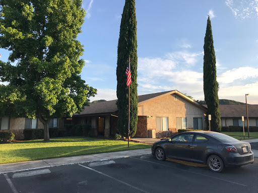 A sunny outdoor scene featuring a residential building, tall trees, and an American flag.
