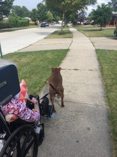 A person in a wheelchair being accompanied by a dog on the sidewalk.