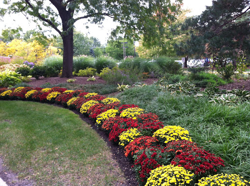 A vibrant flower bed featuring a mix of red and yellow blooms, surrounded by lush greenery in a serene garden setting.
