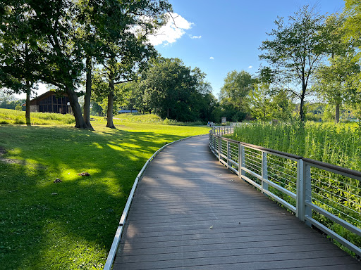 A peaceful pathway winding through a lush green park under a clear blue sky.