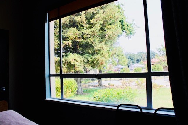A view from inside looking out at a lush garden through a large window.