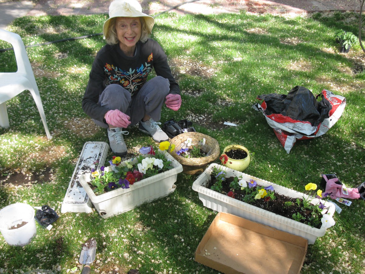 A person is gardening outside, surrounded by flower boxes and gardening tools on a sunny day.