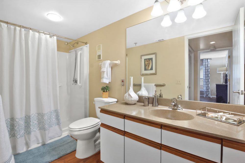 A modern bathroom with a shower, vanity, and decorative elements.