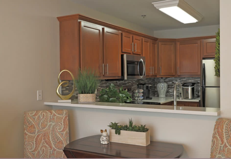 A modern kitchen with wood cabinets and stainless steel appliances, featuring decorative plants on the countertop.