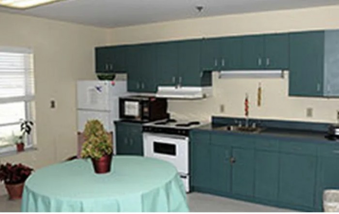 A small kitchen with teal cabinets, a stove, microwave, refrigerator, and a round table with a plant.