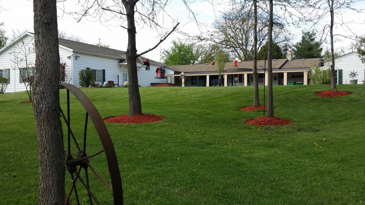 A well-maintained lawn with trees and buildings in the background, featuring a decorative wheel.