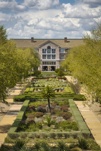 A beautifully landscaped garden view with a modern building in the background.