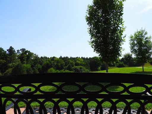 A peaceful view from a bench overlooking lush greenery and a clear blue sky.