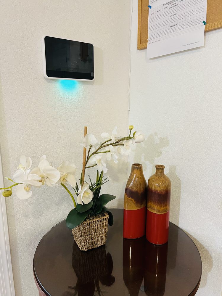 A modern indoor setup with decorative vases and a potted plant on a table.