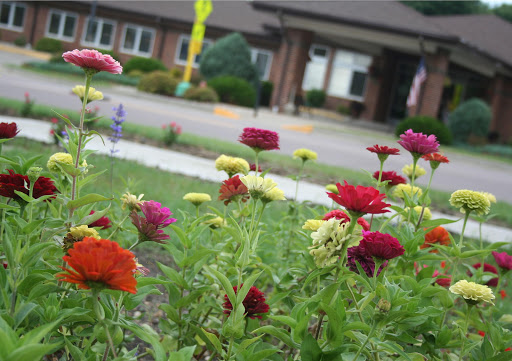 A vibrant display of flowers blooming in a garden.