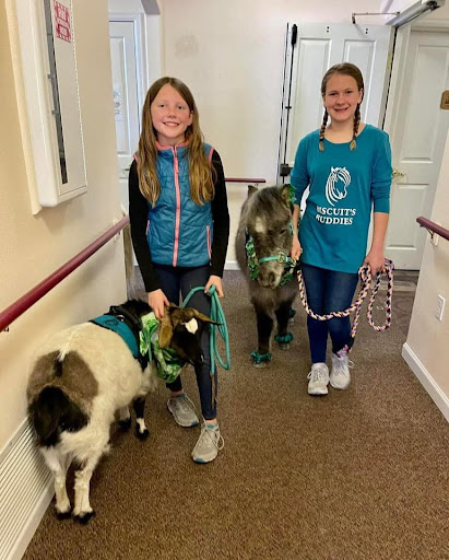 Two girls joyfully walk goats as part of an animal therapy program.