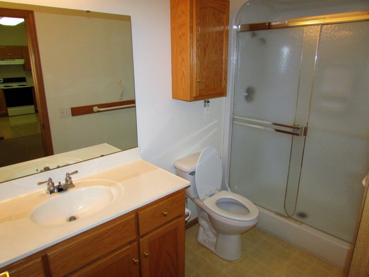 A bathroom featuring a toilet, sink, shower, and mirror with wooden cabinets.