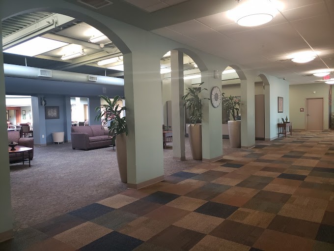 A modern hallway with arches, carpet flooring, and decorative plants.