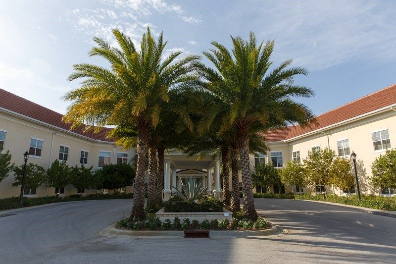 A tropical-themed building entrance with palm trees lining the driveway.