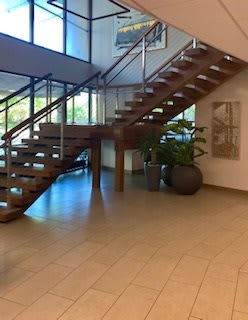 A modern interior featuring a wooden staircase and indoor plants.
