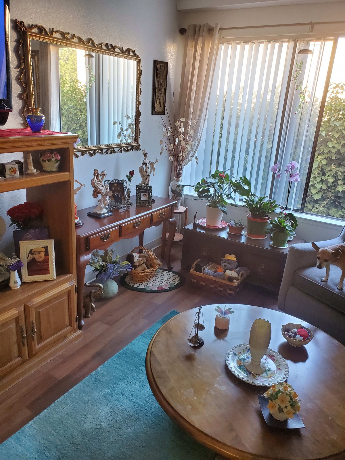 A cozy living room with wooden furniture, plants by the window, and various decorative items.