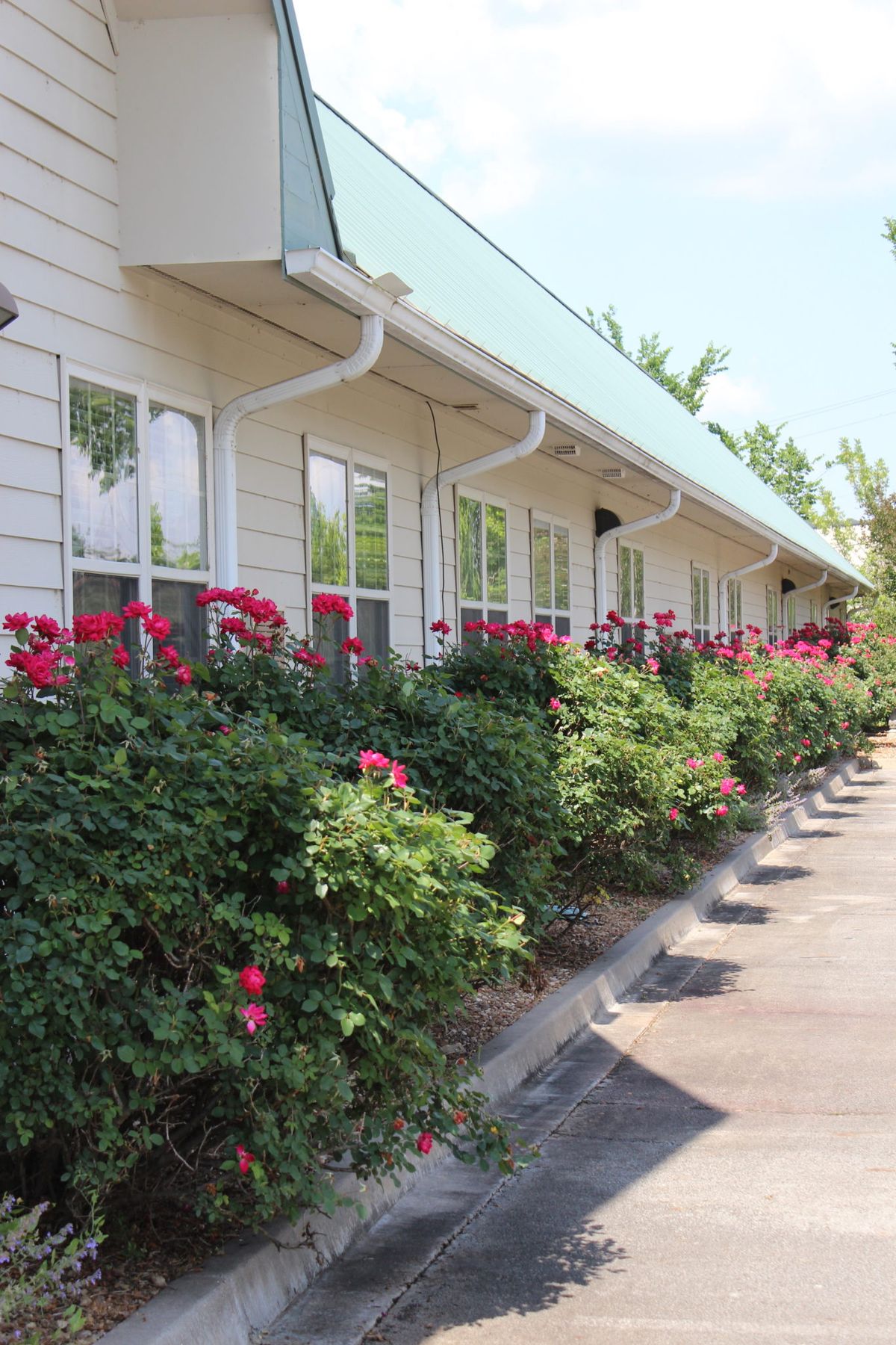 A row of motel rooms with well-maintained landscaping featuring vibrant flowers.