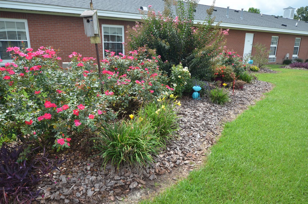 A well-maintained garden with various flowering plants and shrubs alongside a building.