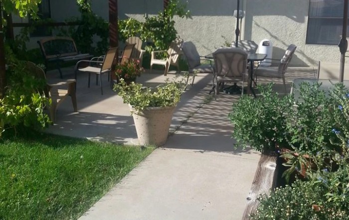 A sunny patio with chairs and potted plants.