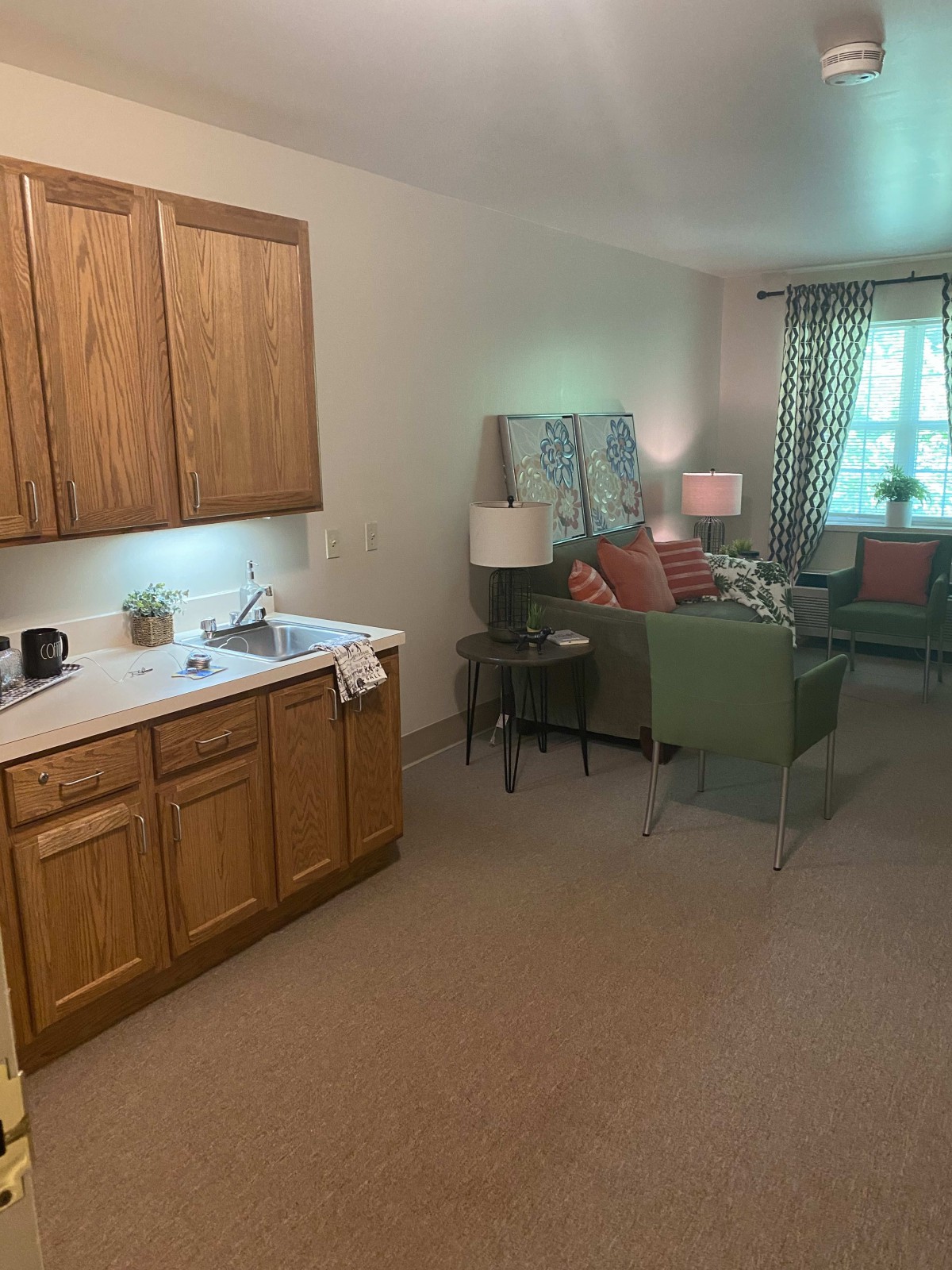 A cozy living space with a kitchenette and comfortable seating area.