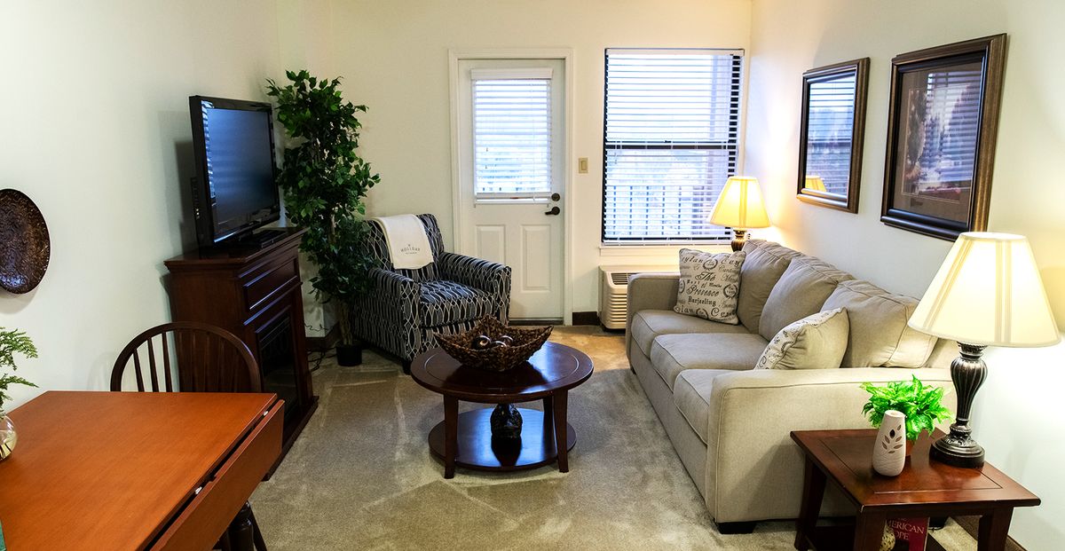 Cozy living room with a sofa, armchair, and a coffee table.