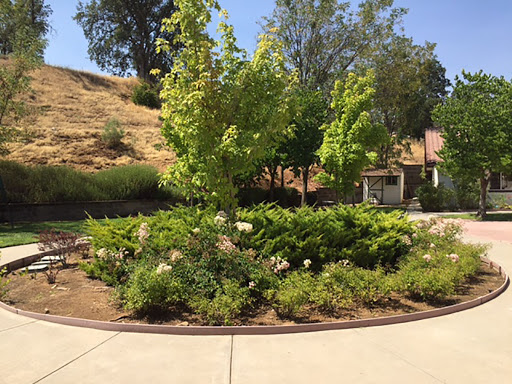 A serene garden featuring lush greenery and a winding pathway.