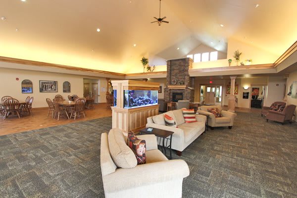 Mendota Heights White Pine