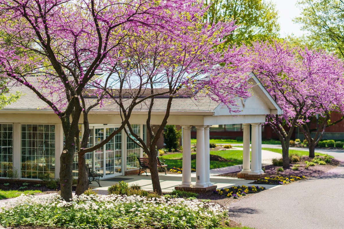 A building surrounded by vibrant spring blossoms and well-maintained landscaping.