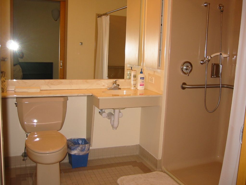 A handicap-accessible bathroom with a toilet, sink, mirror, and shower equipped with grab bars.