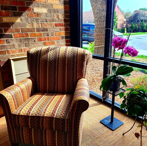 A cozy striped chair bathed in natural light, accompanied by a beautiful orchid plant beside a large window.