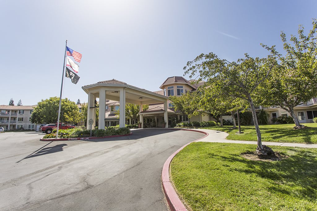 A sunny view of a building entrance with a driveway and flags.