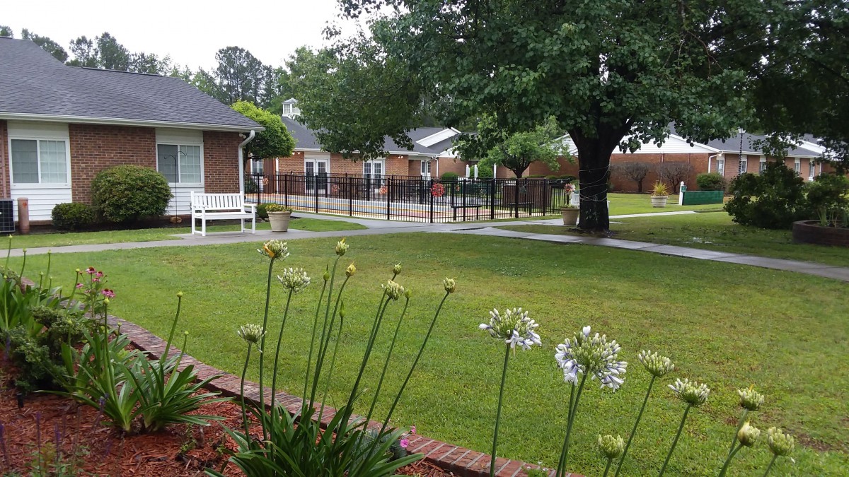 A serene garden with a lush green lawn, blooming flowers, and a white bench under a large tree.