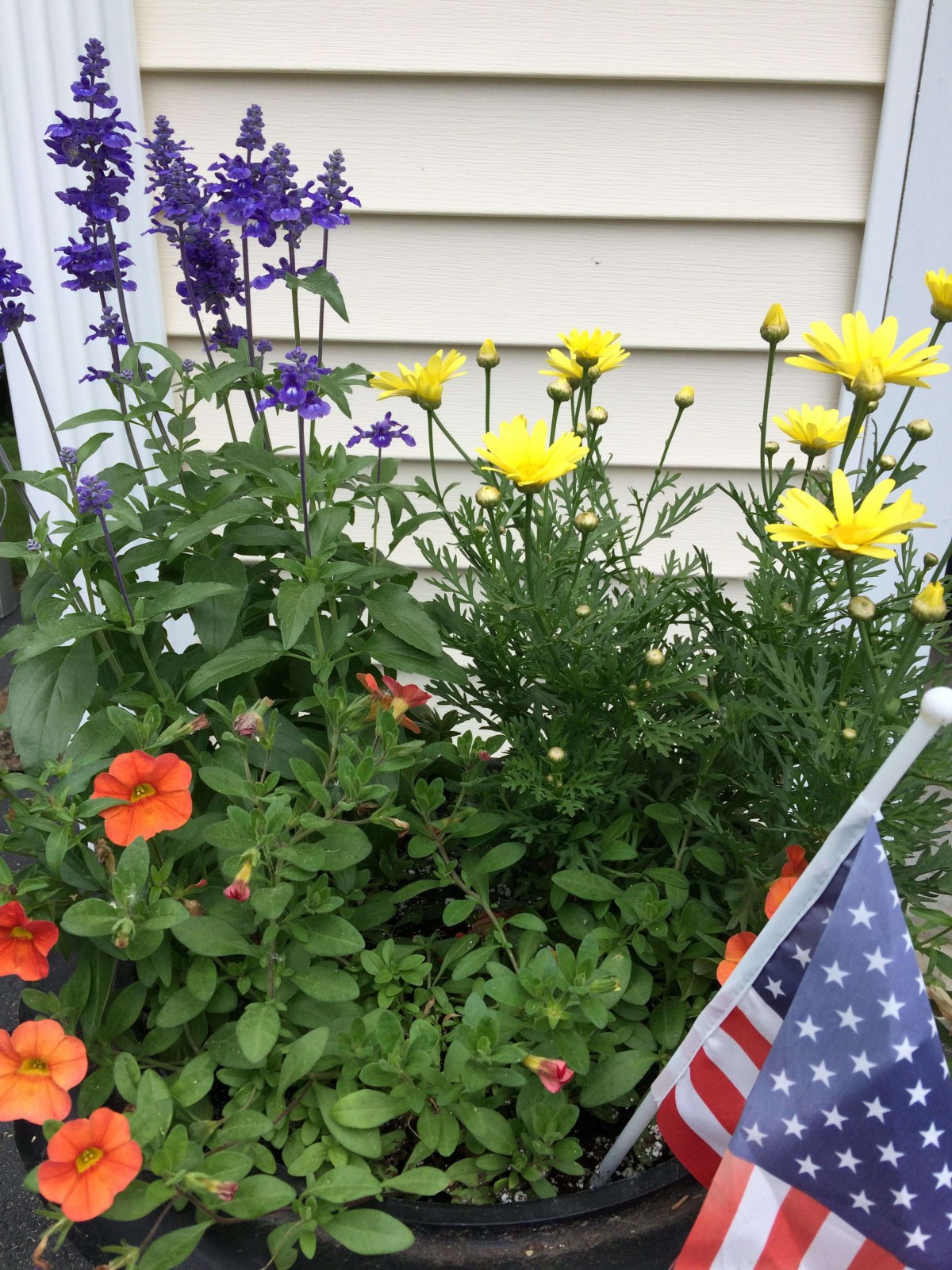 A vibrant garden with purple, yellow, and orange flowers, complemented by a small American flag.
