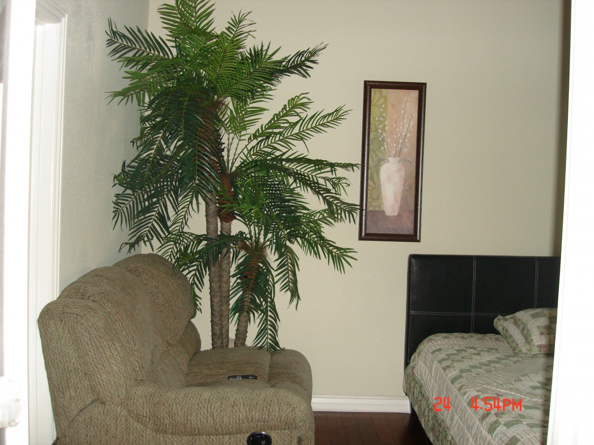 A cozy living space with a couch, potted plant, wall art, and a bed.
