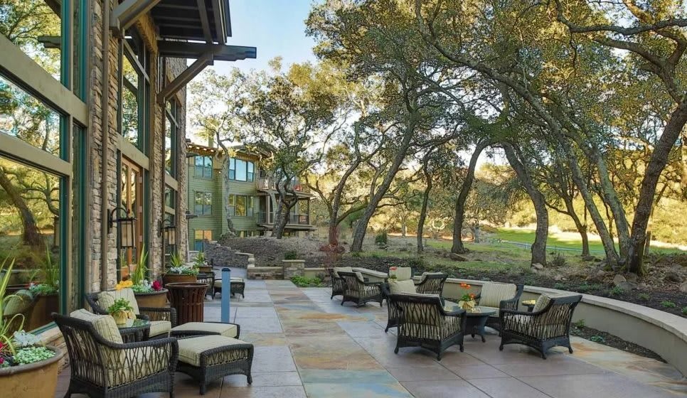 A serene outdoor patio with tables and chairs surrounded by trees and a building in the background.
