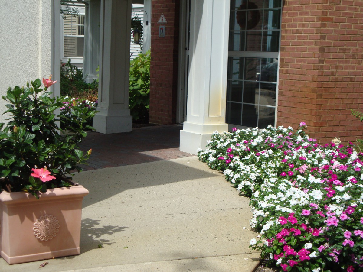 A charming entryway adorned with vibrant flowers and potted plants.