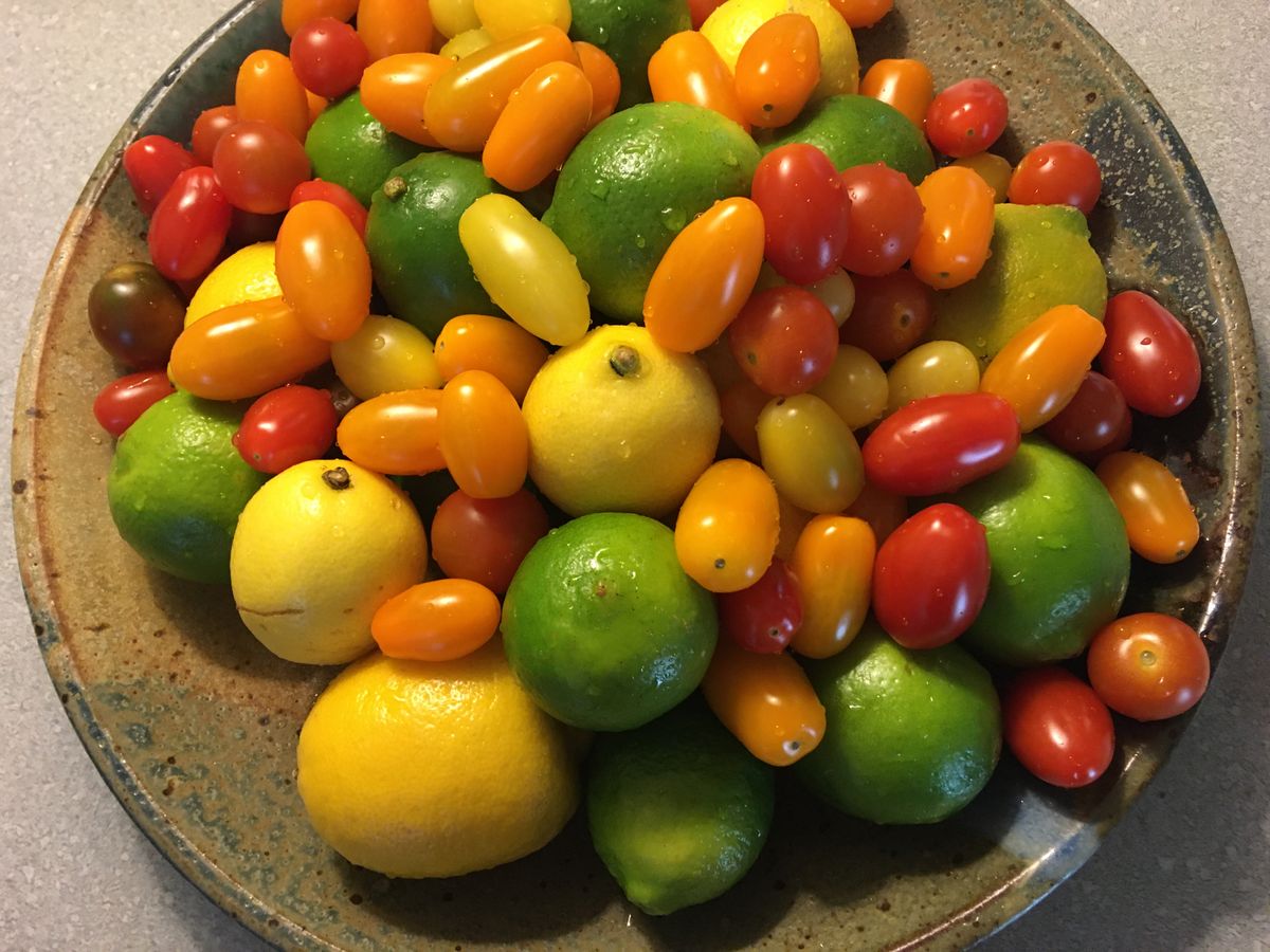 A bowl filled with lemons, limes, and cherry tomatoes.