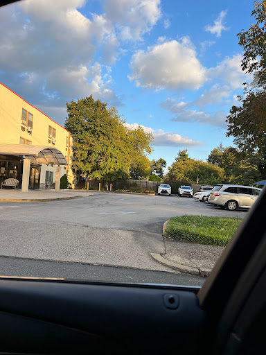 A view of a parking lot beside a building, framed by trees and a clear sky.