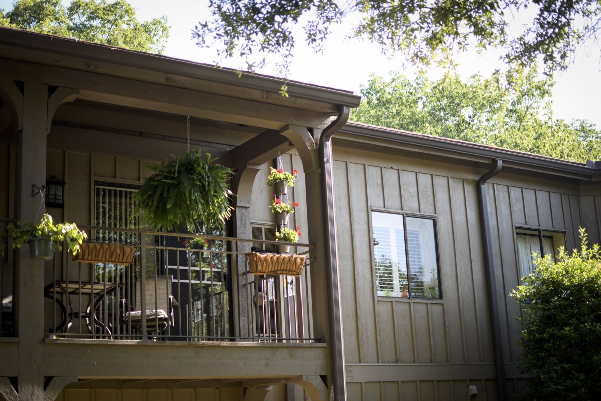 A cozy balcony adorned with hanging plants, attached to a wooden house.