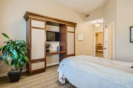 A cozy and modern bedroom featuring elegant storage solutions and a touch of greenery.