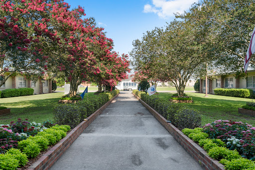 A serene pathway lined with vibrant trees and lush greenery, inviting visitors to explore the tranquil garden.