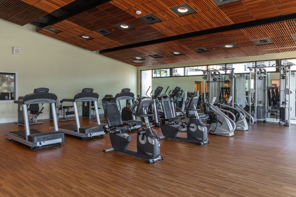 A modern gym with various cardio fitness equipment, including treadmills and stationary bikes.