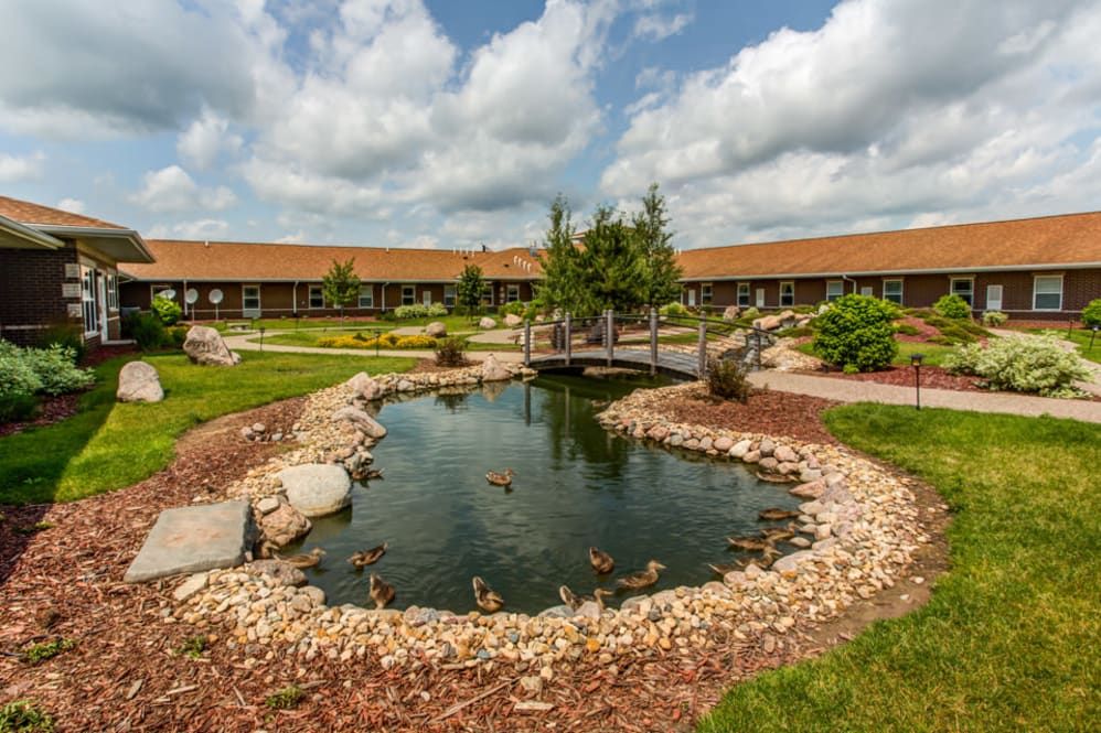 A serene garden pond with a small bridge under a cloudy sky, surrounded by a landscaped area and buildings.